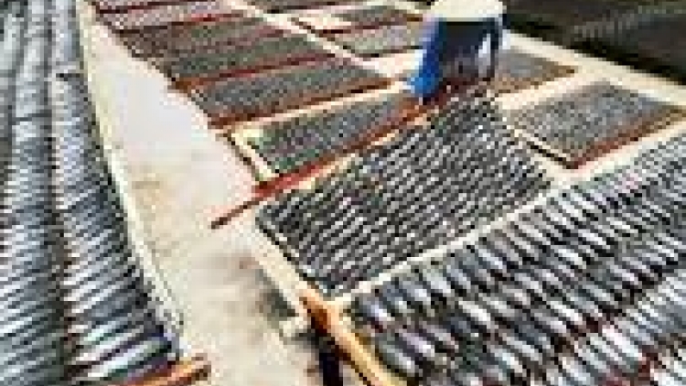 khau tin 6h30 harei 21/4