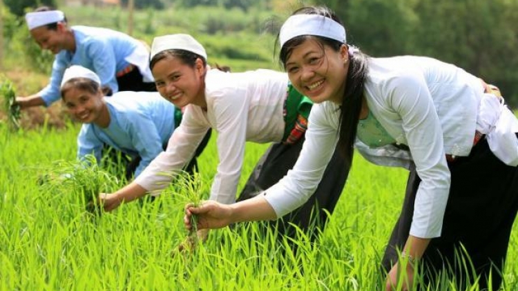 Pẻng tải” – pandap mbang bingi di bangsa Nùng