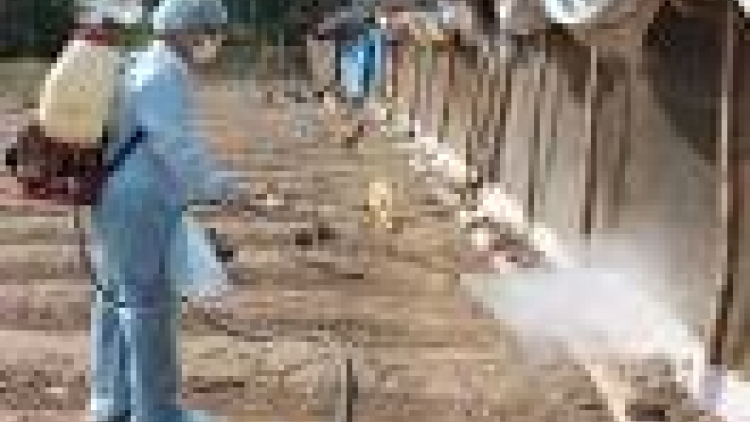 khau tin 6h30 harei 2/6