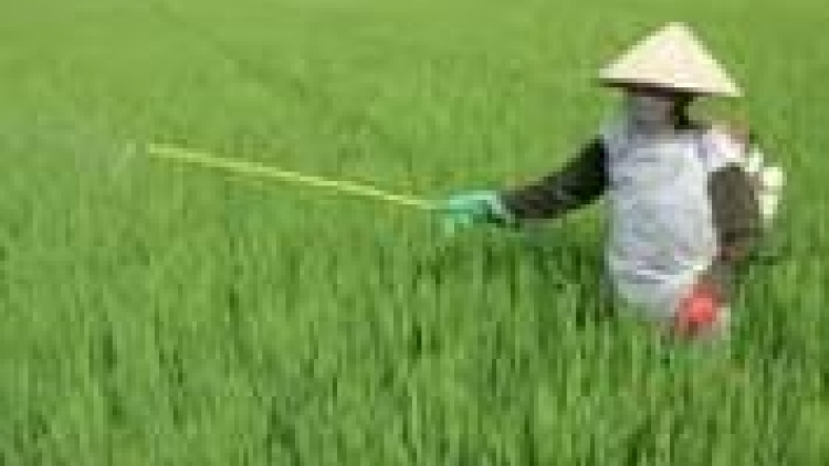 Khau tin harei sut, 19g - 6/5/16