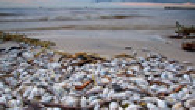 Khaw tin 10h30 saong 14h30 harei 01/7