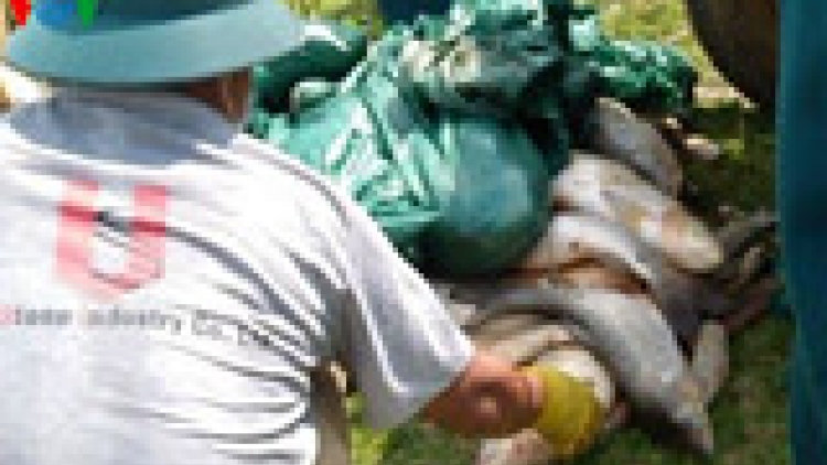 Khaw tin 10h30 -14h30, harei 16/5