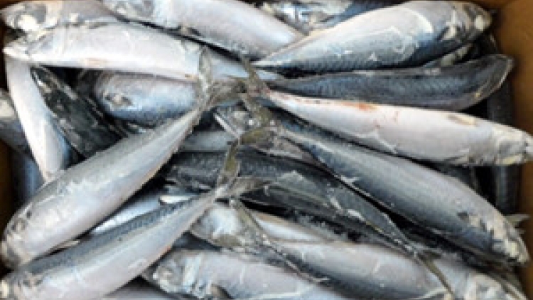 Khaw TIN 10h30 saong 14h30 14/6/2016