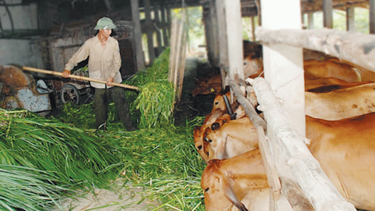 bruk pasang iek athur bilan pandiak bhang di mikva urang nong tỉnh Ninh Thuận