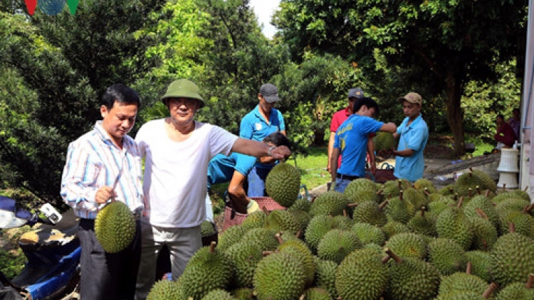 Tien Giang “asal urang lin” daong mek tame 2 -3 ty yaok thun