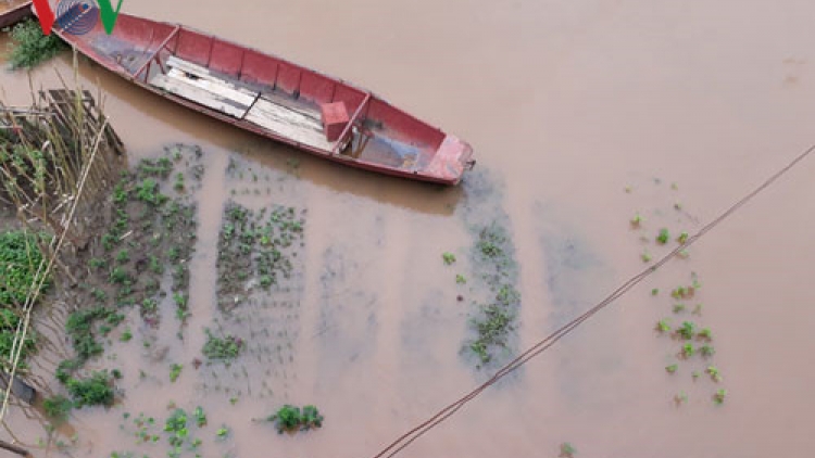 Khaw tin 19h harei 10-11-2016