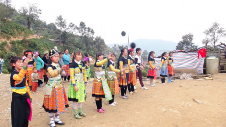 khau tin 10h30 saong 14h30 harei 16/1/2016