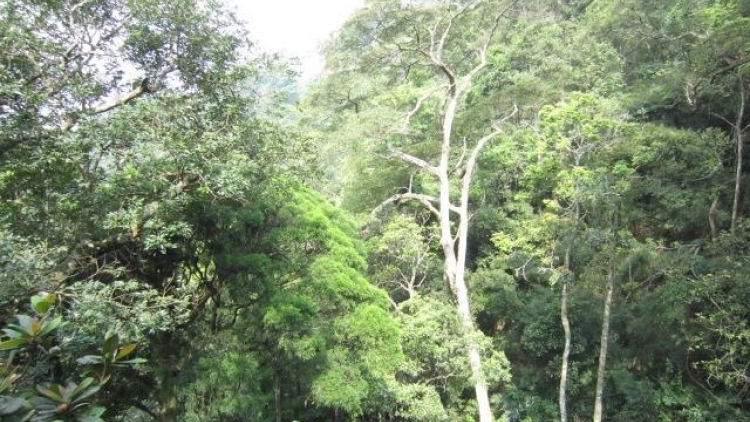 Urang nong B. Phuoc ba gauk pala amraik kalu, ngak tayah bruk quy hoach