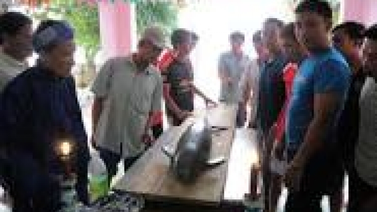 khau tin 6tuk30 harei 16/2