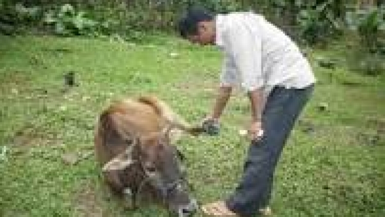 khau tin 10h30 saong 14tuk30 harei 19/2