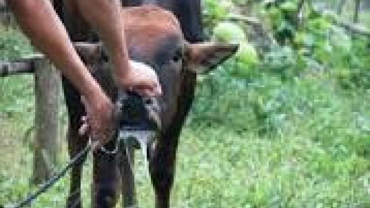 khau tin 6tuk30 harei 23/2