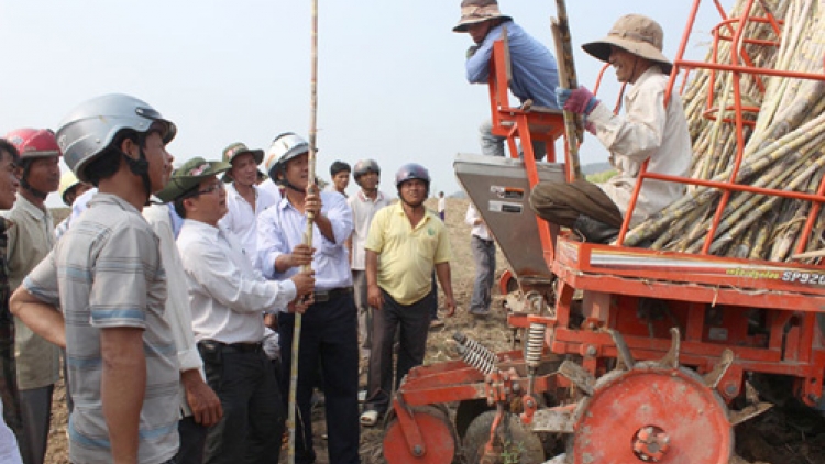 Phú Yên : Urang jakar, urang đảng nao gam jalan saong urang kathaot.