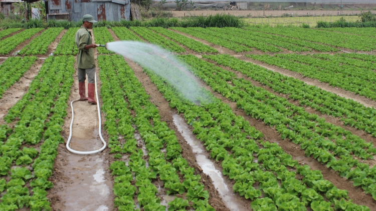 Khaw tin 19h harei 16/3 saong 6h30 harei 17/3