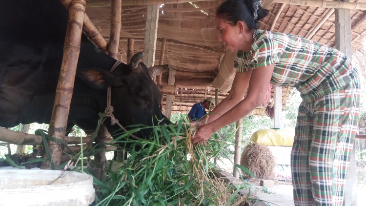 Sa-ai Ly Thi Benh bangsa Khmer ngak mbang naih joi