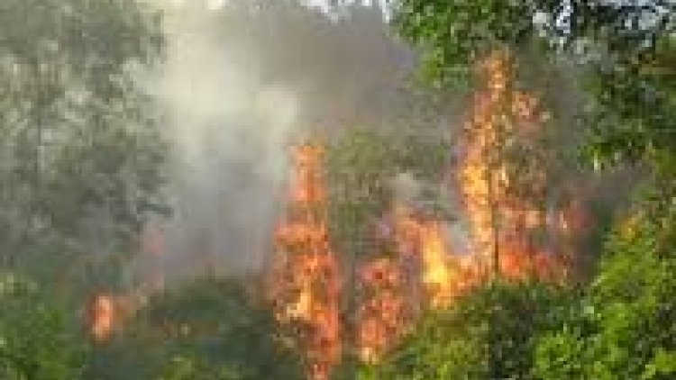 khau tin 19tuk harei 26.3