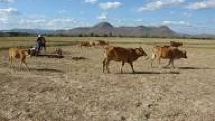 khau tin 6tuk30 harei 28/3