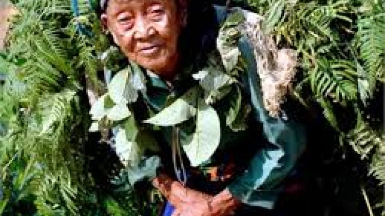 khau tin harei car , 2/4  tuk 19g