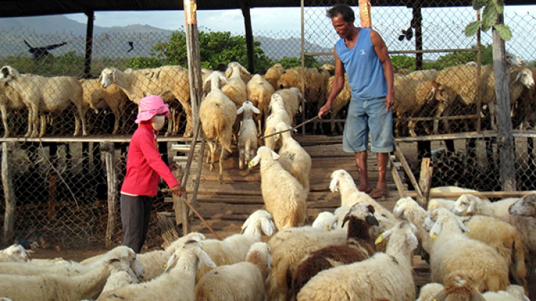 2-6 Tuk urang nong ba gauk tame ka bruk hacih saat pandap mbang