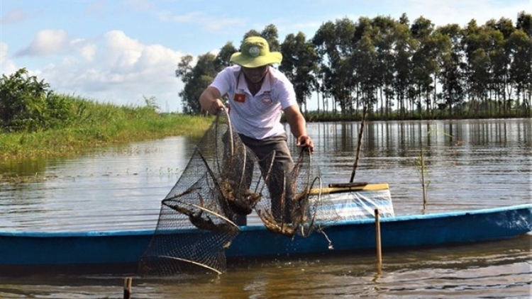 Cà Mau: Kein laba bruk raong hadang quảng canh cải tiến takik plaih ia harei 12/10