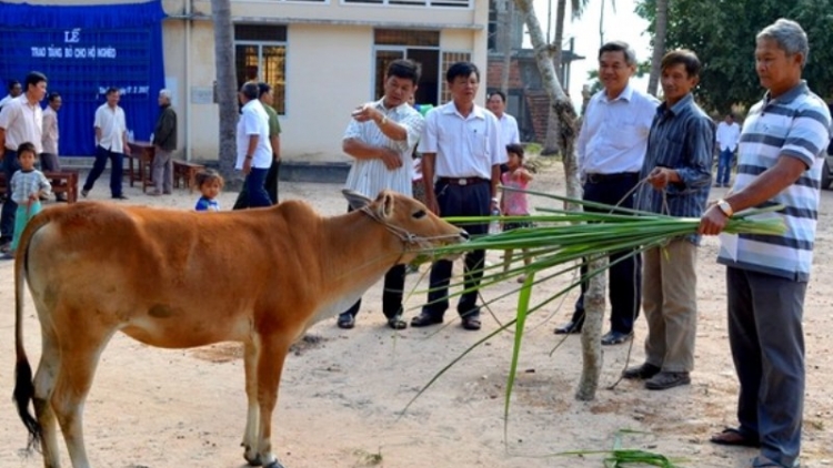 Khau tin 10h30 &14h30 harei  4/8/2017