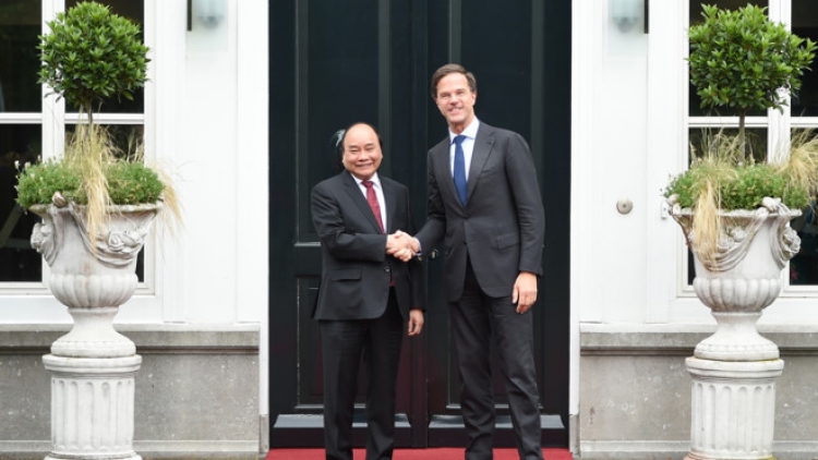 Khau tin 10h30 saong 14h30 harei 11/7