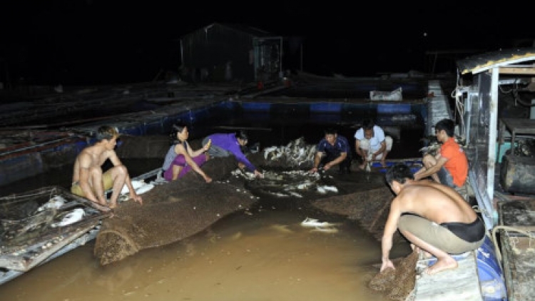 Khau tin 6h30 harei 10/5