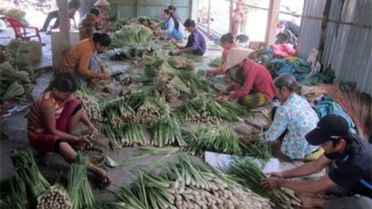 Khau tin 6h30 harei 12/4