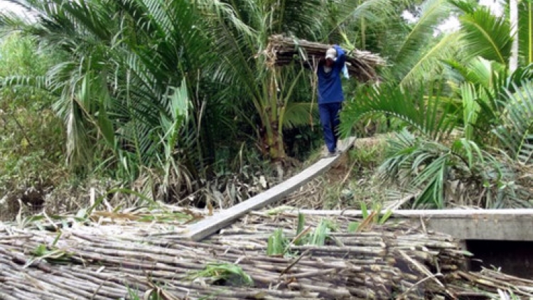 Khau tin 6h30 harei 12/5