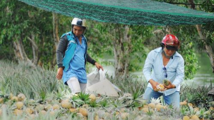 Khau tin 6h30 harei 13/4