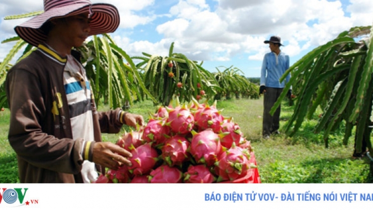 Khau tin 6h30 harei 16/5