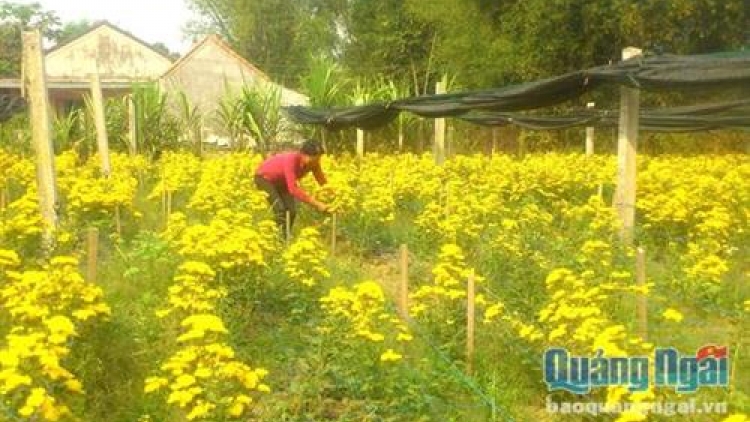 Khau tin 6h30 harei 18/10