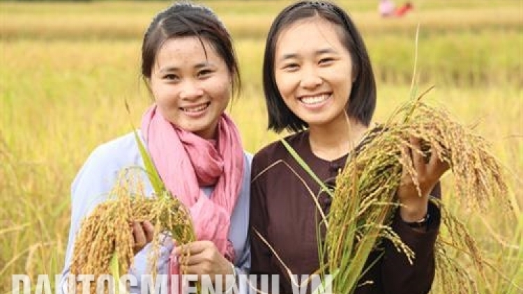 Khau tin 6h30 harei 27/10