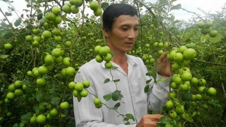 Ilamu piah ngak brei medar hu rilo baoh saong yamen bingi harei 27/9