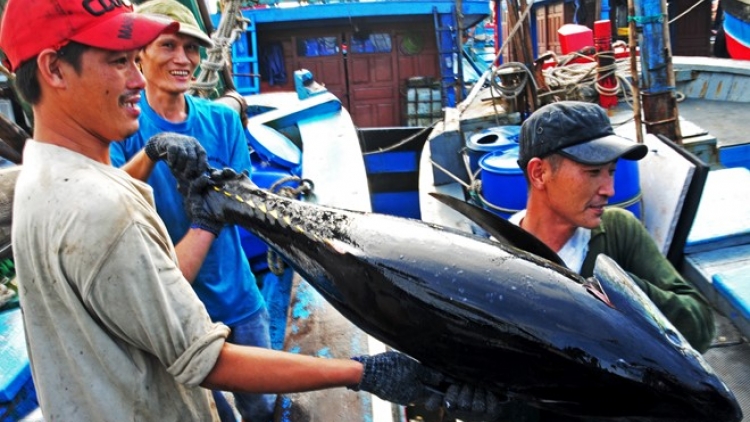 Khaw tin 19h harei 18/11/2017