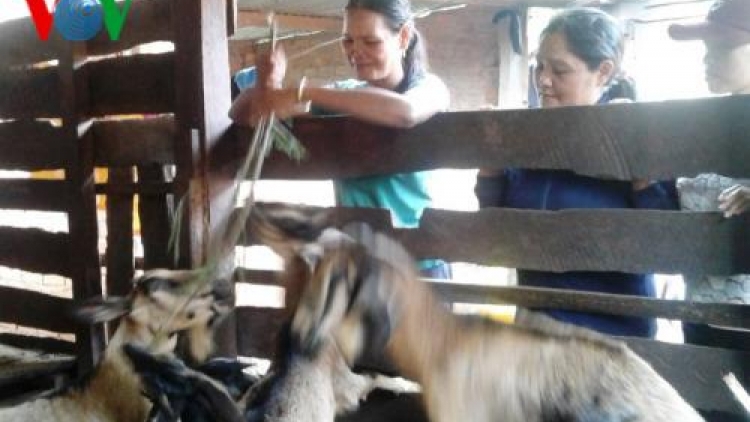 Khaw tin 6h30 harei 20/11/2017