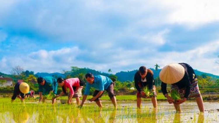 Bhap bini urang bangsa takik bui sambai ngak adat cambat bilan xuan