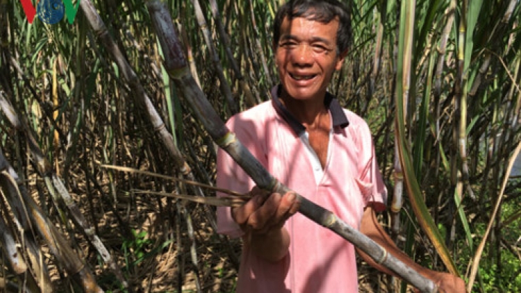 Hậu Giang tal bilan tabau yamen