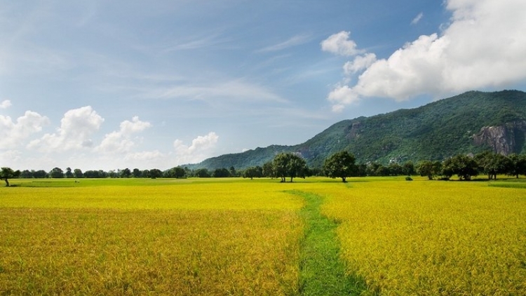 7-6 An Giang: tagok njam patam, patrun padai urang nong liba khang