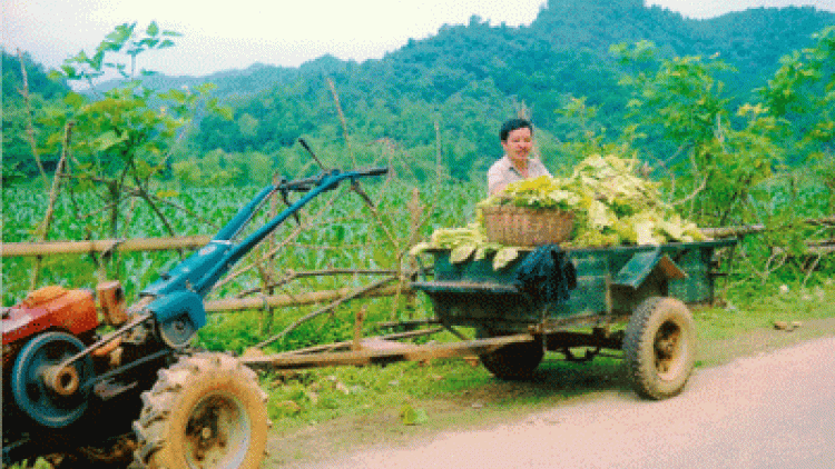 Tiền Giang:Sa urang dahlau deih ngak bol lin luac rai ngak tui panuac Wa