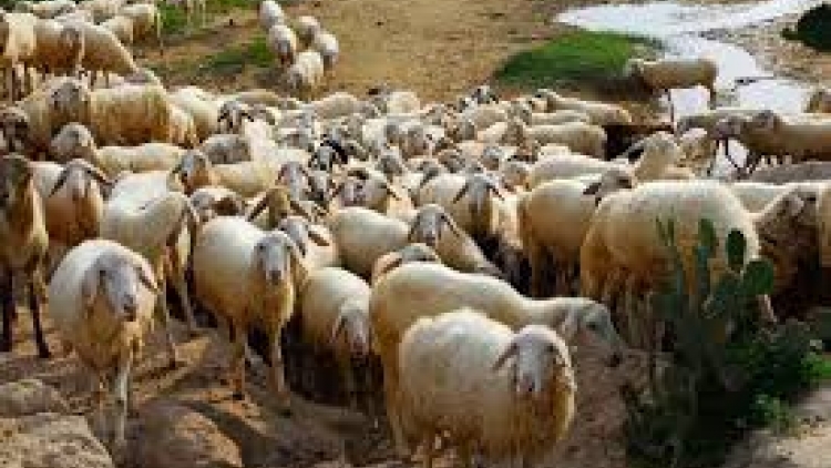 Khawtin 10h30 saong 14h30 harei 6/3