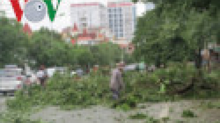 Khaw tin 10h30 saong 14h30 harei 17/7