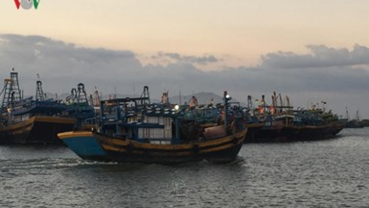 Khaw tin 6h30 harei 23/12