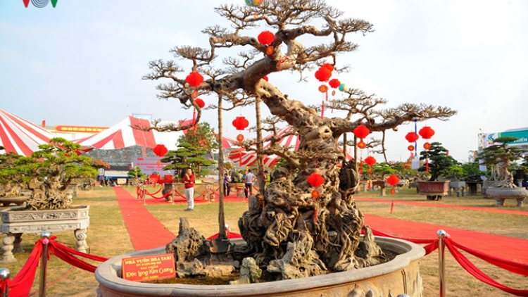 Khaw tin 10h30 saong 14h30 harei 21/12