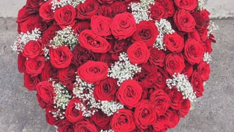 Khaw tin pagaiy harei 14/2