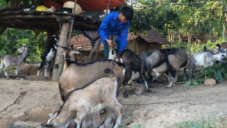 Ly Van Minh padang mbang ngui meng raong pabe