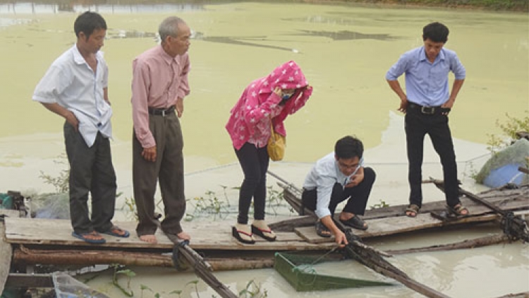 Bruk pabam pajaih ikan klaik (pathoc) di Đức Linh