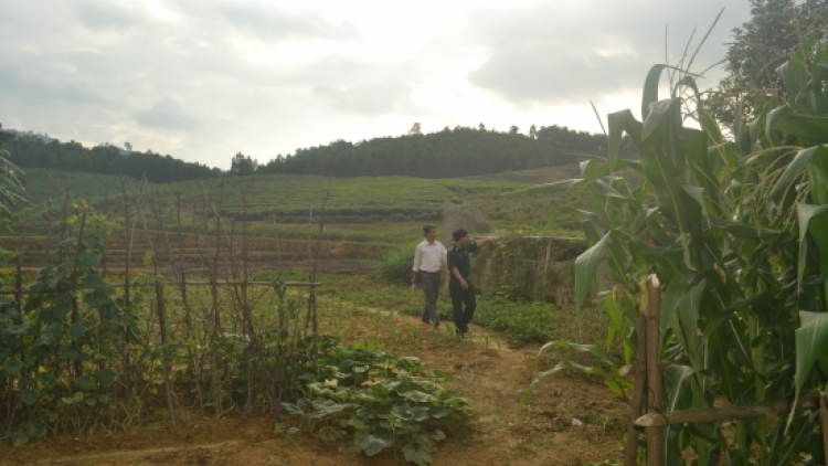 Ngak meda di bhum taneh daok barau