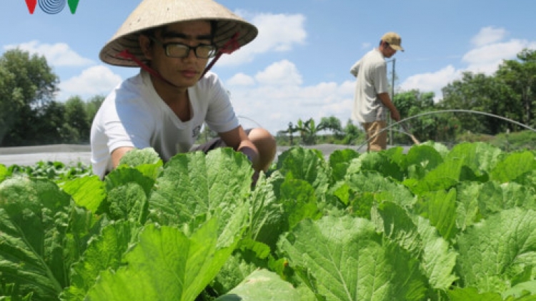 Urang nong Binh Thuan padang angan njam an toàn