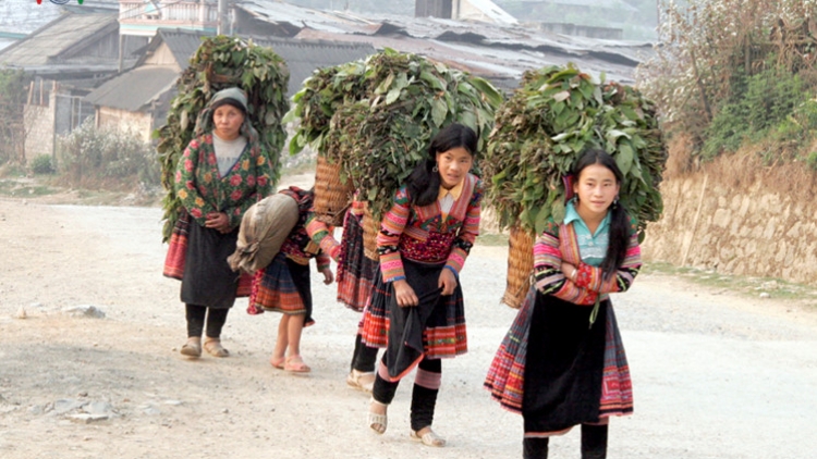 Khaw tin bair harei 8/3