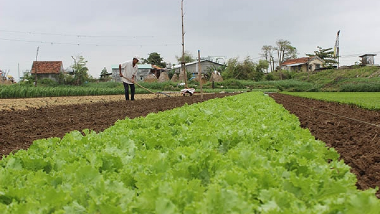 Khaw tin tuk 10h30 saong 14h30 harei 19/1